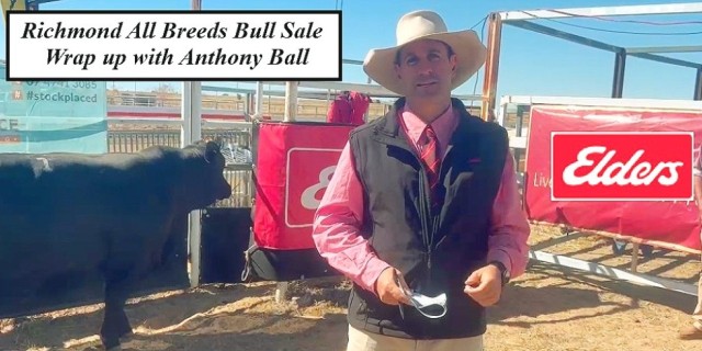 Richmond  All Breeds Bull Sale.