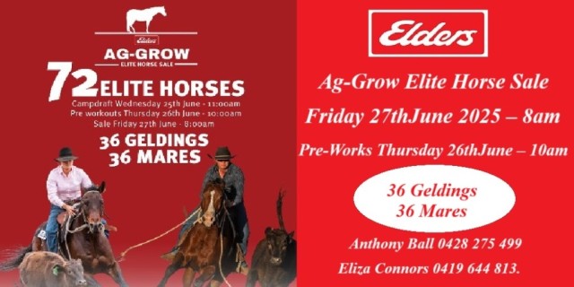 Ag-Grow Elite Horse Sale