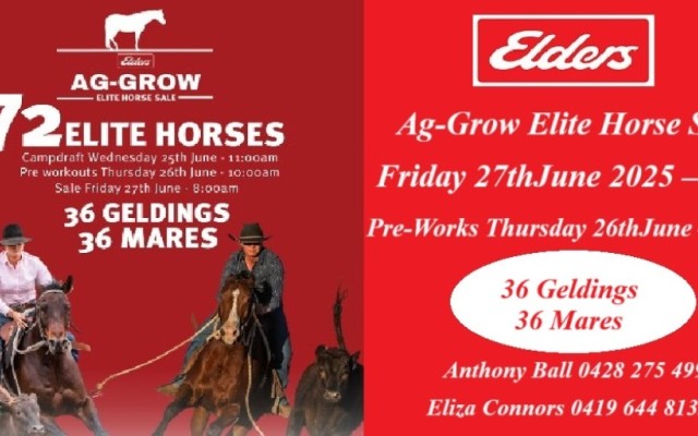 Ag-Grow Elite Horse Sale