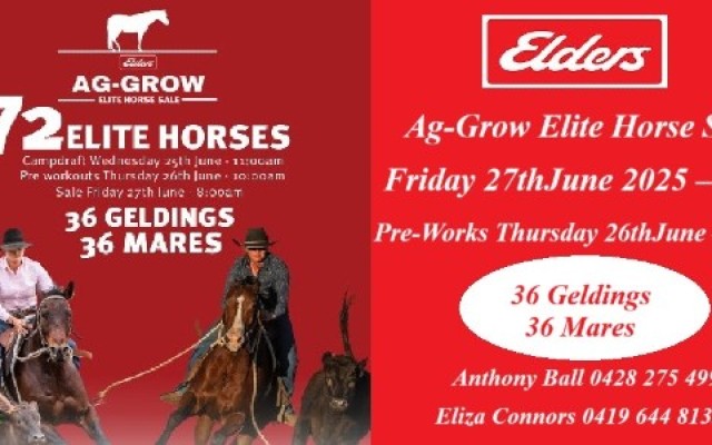 Ag-Grow Elite Horse Sale 2025
