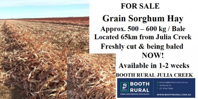 FOR SALE GRAIN SORGHUM  HAY