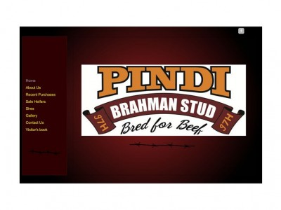 Pindi Brahman Stud