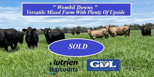 Wombil Downs