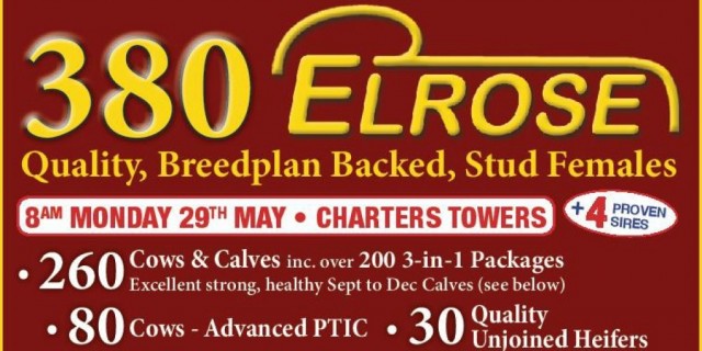 Elrose Reduction Sale