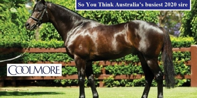 Upgrade in top Qld’s sire’s mares shown at Easter