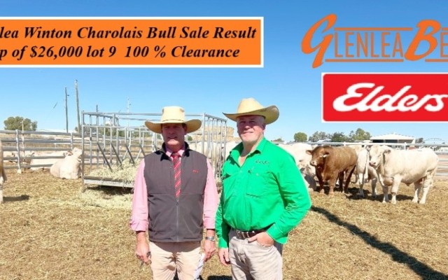 Glenlea Beef  Charolais Bull Sale Winton 
