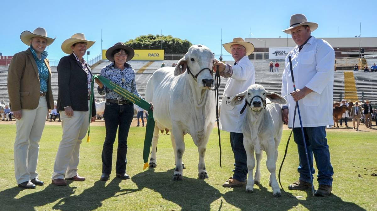 M.D.M.  EKKA WRAP UP