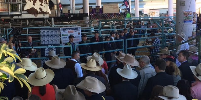  EKKA Done and dusted 