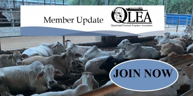  Become a Member QLEA Newsletter