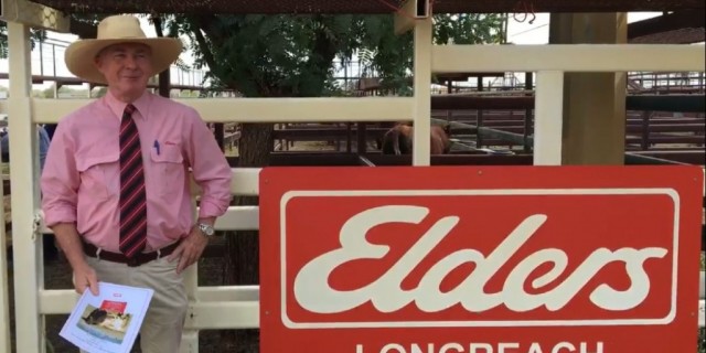 Royalla Shorthorns  Longreach Sale Results  