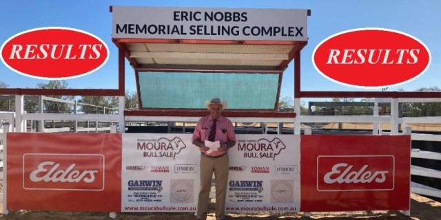 Moura Bull Sale Nobbs Families Results 
