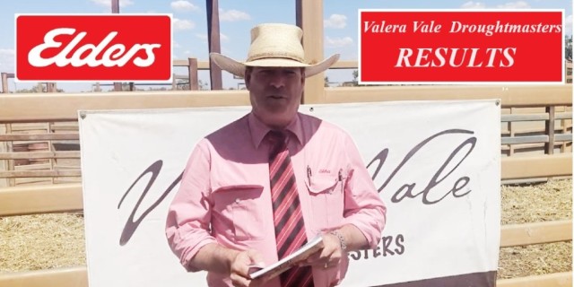 “Valera Vale ” Droughtmasters Sale 2023