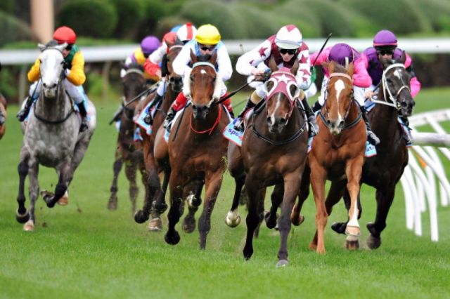 Queensland enriched by Wyong Millions