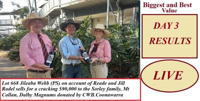 Brahman Week Sale 2025