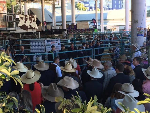 EKKA Done and dusted