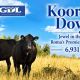 Kooringa Downs