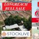 Go to LONGREACH BULL SALE 2026