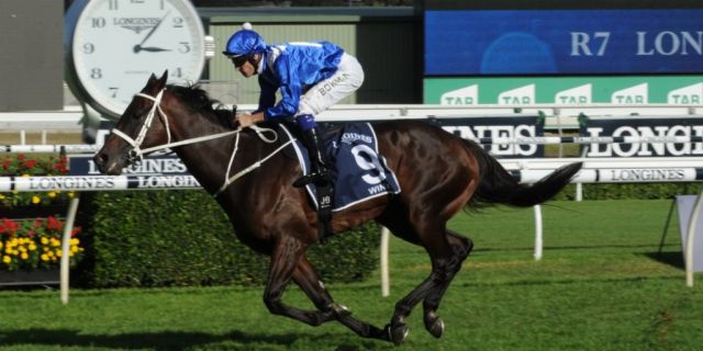 Winx world’s equal best racehorse of 2018