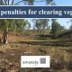 Go to Severe penalties for clearing vegetation