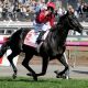 Derby winner breaks family’s staying hoodoo