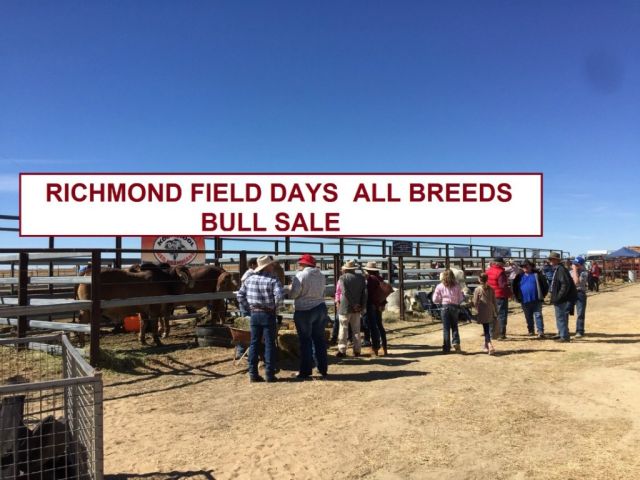 Richmond Field Day Sale