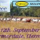 Go to Karmoo Bull Sale Marmordale Clermont 2025
