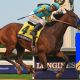 The Pharoahs to make world history at the Gold Coast