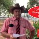 Go to CQ Invitational Droughtmaster Sale