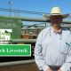 Charters Towers Sale 13/3/2019