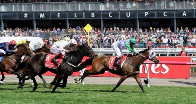 Wrap Up Melbourne Cup Week