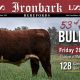 2026 Ironbark Herefords Bull Sale