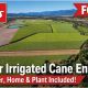 Premier Irrigated Cane Enterprise