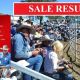Go to AG-GROW ELITE HORSE SALE RESULTS