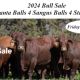 Yulgilbar 2024 Annual Production Sale.