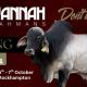Savannah Brahmans Brahman Week 2026
