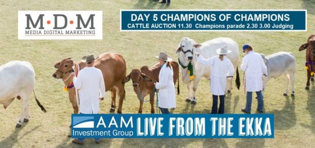 Live Action At The EKKA