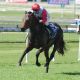 Brisbane winter carnival, the filly Shadow Lawn
