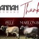 Go to Savannah Brahmans Says Thank you 