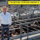 Charters Towers Report