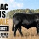 Bulliac Angus  Bull Sale
