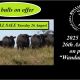 Go to Bulliac Angus Sale 2025
