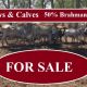 400 Cows & Calves FOR SALE