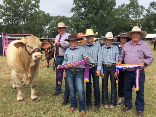 "Cordelia Brahman and Charbray Stud"
