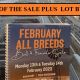 Go to February All Breeds Sale Day 2