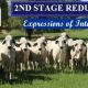 Elrose  2nd Stage Reduction Sale 370 Grey Females