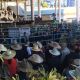 Go to EKKA Done and dusted