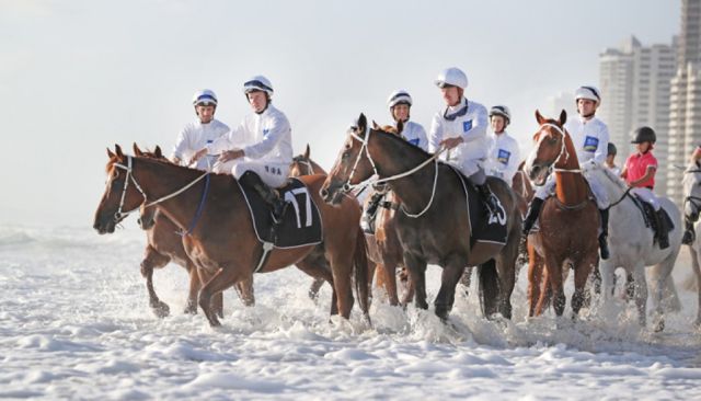 Son of unwanted mare pioneered Gold Coast excellence.