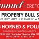 Go to Tummel Herefords  BULL SALE