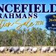 Go to Lancefield Brahmans Invitation Sale 2026
