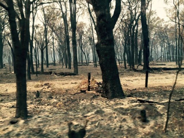The Outback of Uncertainty.